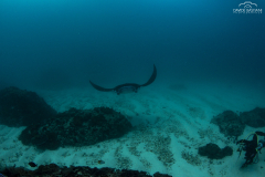 Davide-Bastiani-Photographer-Mante-10