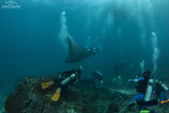 Davide-Bastiani-Photographer-Mante-12