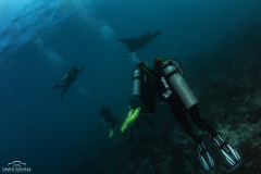 Davide-Bastiani-Photographer-Mante-16