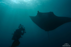 Davide-Bastiani-Photographer-Mante-18