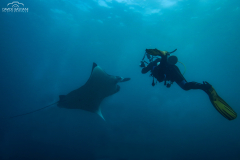 Davide-Bastiani-Photographer-Mante-19