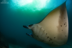 Davide-Bastiani-Photographer-Mante-3