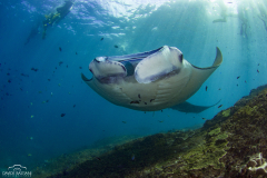 Davide-Bastiani-Photographer-Mante-4