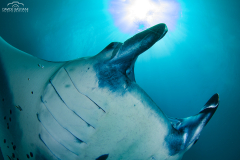 Davide-Bastiani-Photographer-Mante-5