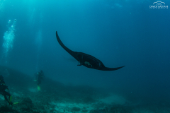 Davide-Bastiani-Photographer-Mante-8