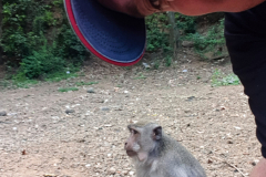 Davide-Bastiani-Photographer-Noi-15