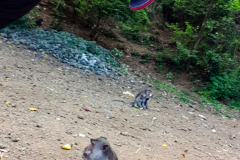 Davide-Bastiani-Photographer-Noi-17