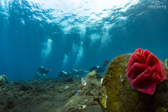 Davide-Bastiani-Photographer-Noi-UW-11