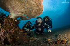 Davide-Bastiani-Photographer-Noi-UW-14