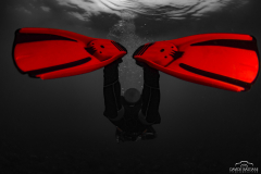 Davide-Bastiani-Photographer-Noi-UW-16