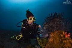 Davide-Bastiani-Photographer-Noi-UW-18