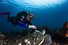 Davide-Bastiani-Photographer-Noi-UW-19