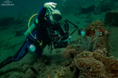 Davide-Bastiani-Photographer-Noi-UW-20