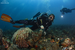 Davide-Bastiani-Photographer-Noi-UW-28