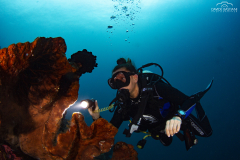 Davide-Bastiani-Photographer-Noi-UW-29