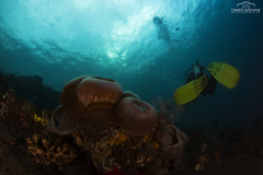 Davide-Bastiani-Photographer-Noi-UW-3