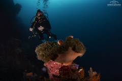 Davide-Bastiani-Photographer-Noi-UW-30