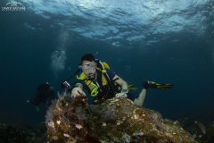 Davide-Bastiani-Photographer-Noi-UW-32