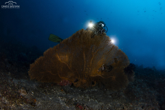 Davide-Bastiani-Photographer-Noi-UW-40