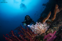 Davide-Bastiani-Photographer-Noi-UW-42