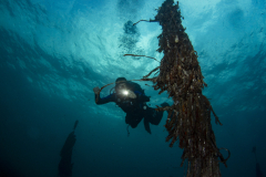 Davide-Bastiani-Photographer-Noi-UW-49