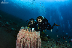 Davide-Bastiani-Photographer-Noi-UW-9