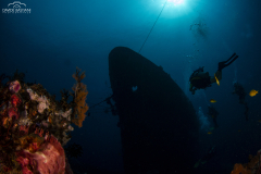 Davide-Bastiani-Photographer-Underwater-33