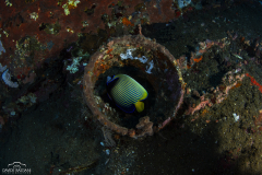 Davide-Bastiani-Photographer-Underwater-35