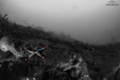 Davide-Bastiani-Photographer-Underwater-59