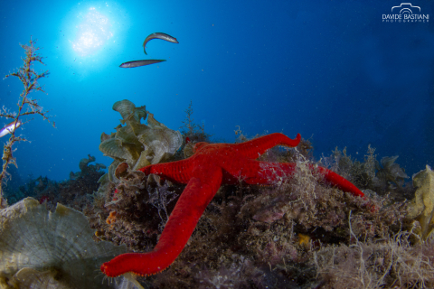 2020 - 13 Settembre -Santa Marinella