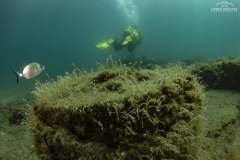 Bastiani-Davide-Photographer-1