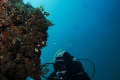 Bastiani-Davide-Photographer-15