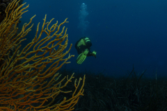 Bastiani-Davide-Photographer-30