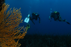 Bastiani-Davide-Photographer-31