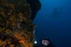 Bastiani-Davide-Photographer-32