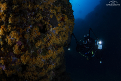 Bastiani-Davide-Photographer-34