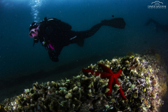 Bastiani-Davide-Photographer-42