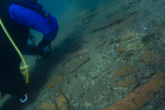 Bastiani-Davide-Photographer-44