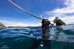 Bastiani-Davide-Photographer-7