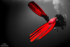 2022 - 14-23 Maggio Maldive Expedition