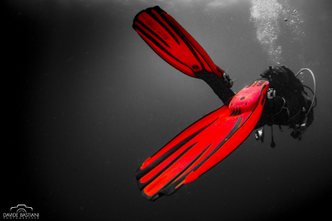 2022 - 14-23 Maggio Maldive Expedition