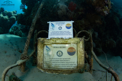 2025 - 8-15 Ottobre . Sharm El Naga Expedition