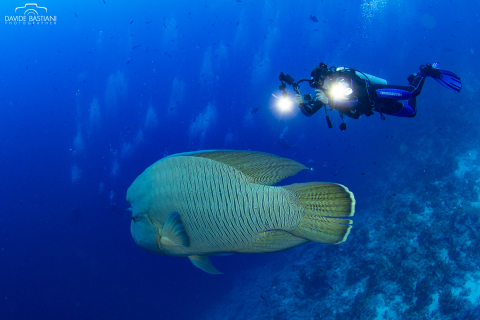 2022 - 18-25 Ottobre - Sharm El Sheikh Expedition 