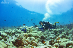 2023 - 31 Luglio - 6 Agosto - Sharm El Sheikh Expedition