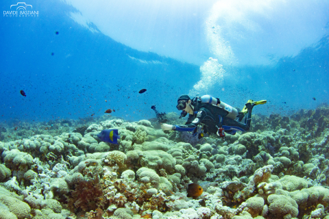 2023 - 31 Luglio - 6 Agosto - Sharm El Sheikh Expedition